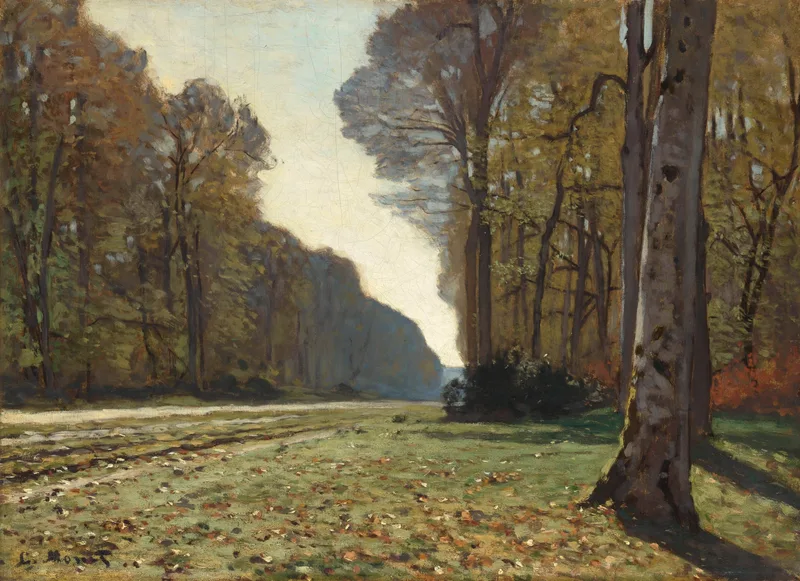 Une allée forestière bordée de grands arbres, menant vers une clairière lumineuse en forêt de Fontainebleau.